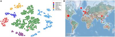 COVID-DeepPredictor: Recurrent Neural Network to Predict SARS-CoV-2 and Other Pathogenic Viruses